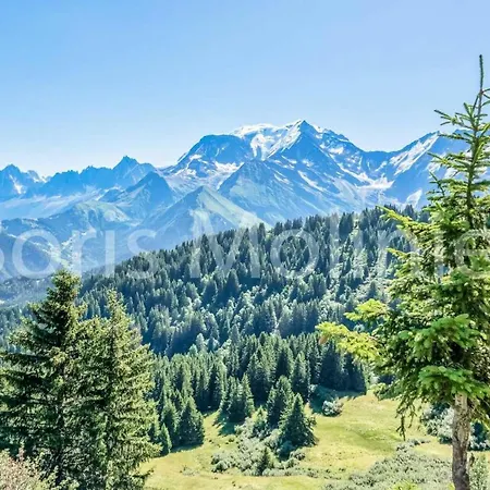 Pointe Des Aravis - Studio Pour 4 Personnes 85 Apartment