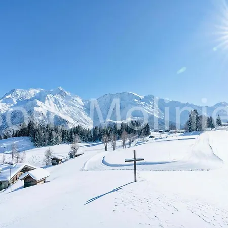 Apartment Pointe Des Aravis - Studio Pour 4 Personnes 85